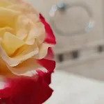 Vilă Nefeli Patitiri