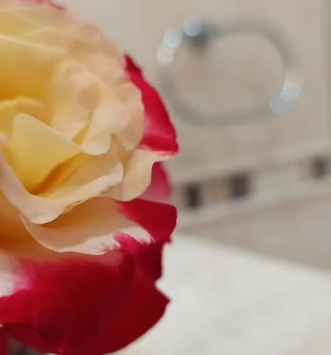 Вилла Nefeli Патитири